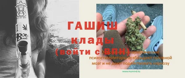 мдпв Бородино