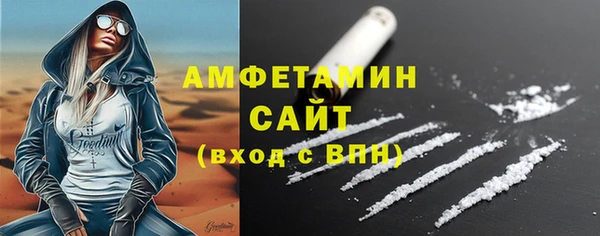 мдпв Бородино