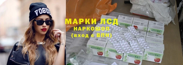 мдпв Бородино
