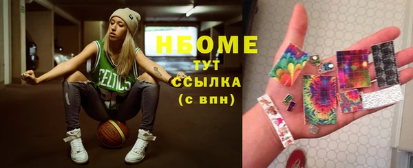 мдпв Бородино