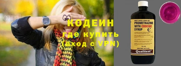 мдпв Бородино