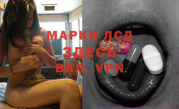 мдпв Бородино