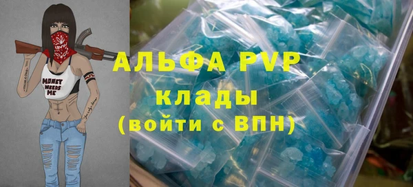 мдпв Бородино
