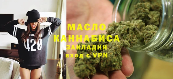 мдпв Бородино