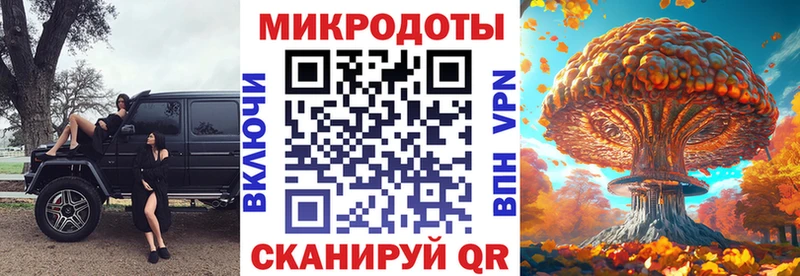 Купить где  Кстово  Псилоцибиновые грибы Cubensis 